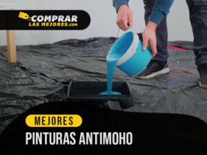 Las 8 Mejores Pinturas Antimoho Contra La Humedad De 2023