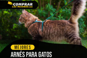 Los Mejores Arnés Para Gatos para pasear y ejercitar a tu mascota