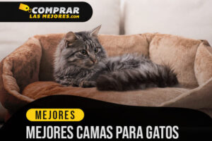 Las Mejores Camas para Gatos para Mejorar el Descanso de tu Mascota