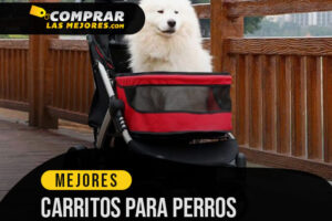 Los Mejores Carritos Para Perros para pasear a gusto por el parque