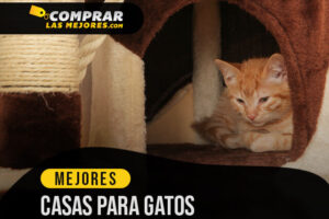 Las Mejores Casas para Gatos para Proteger y Resguardar a tu Minino