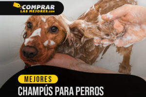 Los Mejores Champús para Perros para Suavizar el Pelaje de tu Mascota