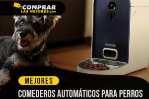 Los Mejores Comederos Automáticos para Perros para Programar su Rutina Alimenticia