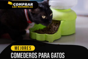 Los Mejores Comederos para Gatos para Evitar Salpicaduras en Casa