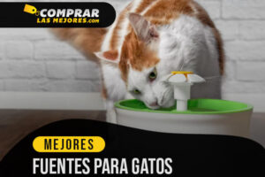 Las Mejores Fuentes Para Gatos para Hidratar a tus Mininos