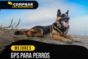 Los Mejores GPS para Perros para Evitar Perder a tu Mascota