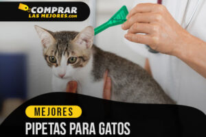 Las Mejores Pipetas para Gatos para Desparasitar a tus Mininos