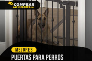 Las Mejores Puertas para Perros para Darle Mayor Libertad a tu Mascota