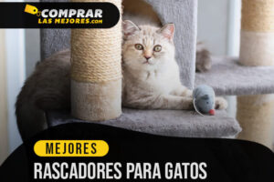 Los Mejores Rascadores para Gatos para Mantener sus Uñas Afiladas