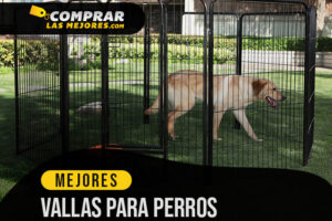 Las Mejores Vallas Para Perros para evitar que tu perro escape de casa