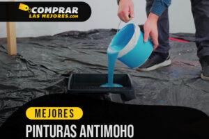 Las Mejores Pinturas Antimoho para Hogares con Mucha Humedad