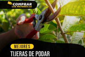 Las Mejores Tijeras de Podar para Mantener tu Jardín en Buenas Condiciones